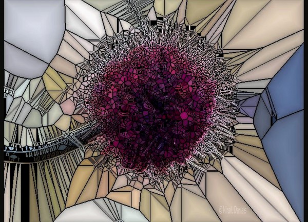 Stained Glass Bloom by Nina